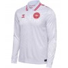 Maillot à Manches Longues Danemark Extérieur Euro 2024 Pour Homme